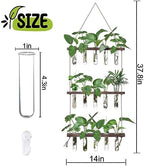 XXXFLOWER Wall Hanging Propagation Station with 5 Glass Test Tubes 3 Tiers+Wall Hanging Glass Terrariums,Heart-Shaped Set of 4 - Image 3