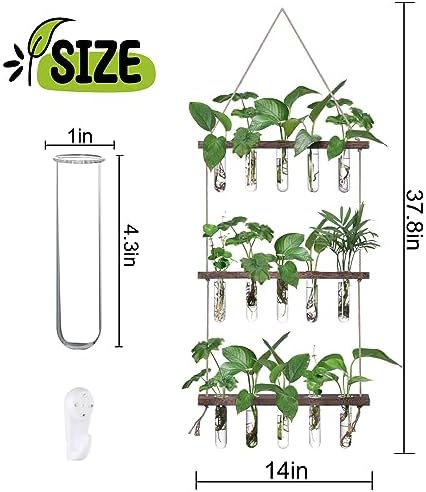XXXFLOWER Wall Hanging Propagation Station with 5 Glass Test Tubes 3 Tiers+Wall Hanging Glass Terrariums,Heart-Shaped Set of 4 - Image 3