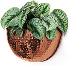 Allegorie Metal Wall Planter | Indoor or Outdoor Hanging Plant Pot | Farmhouse Decor & Boho Kitchen Decoration for Herbs & Succulents and Living Wall 12x7 (Copper) by Allegorie