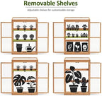 MCombo Cold Frame Greenhouse, Wooden Cabinet with Shelves, 0760 (Orange) - Image 6
