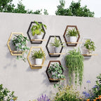 3 Pack Hexagon Wall Plant Stands, 9 Inch Wood Shelf, Coffee - Image 6