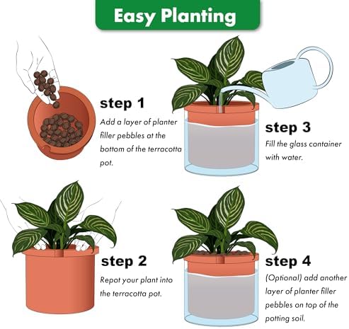 Phoenix Vine 8 Inch Self Watering Planter, Design Terracotta Pot for Plants, Indoor Cylinder Terra Cotta Pot with Glass Vase, Set of 1, 51-A-H-1 - Image 4