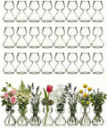 Garden Guru Plant Propagation Stations - Clear Glass Bud Vases Set of 32 - Mini Vases for Wedding Centerpieces, Cafe Décor, Tea Shop Displays - Small Hydroponic & Flower Vase by GardenGuru