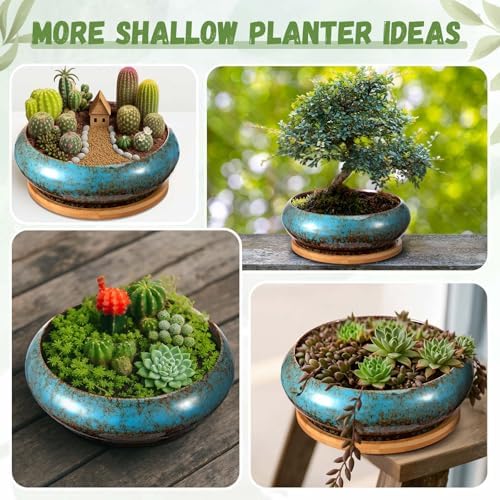 2 Pcs 7.3'' Shallow Succulent Planters Pots, Blue - Image 5