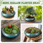 2 Pcs 7.3'' Shallow Succulent Planters Pots, Blue - Image 5