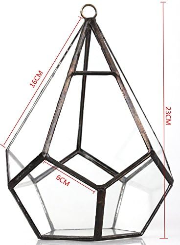 NCYP Hanging Glass Geometric Terrarium for Succulent - 6.8" x 6.8" x 8.6" Indoor Teardrop Shape Plants Planter, Tabletop Decorative Centerpiece, Black Container, Opening, Handmade (No Plants) - Image 5