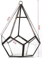 NCYP Hanging Glass Geometric Terrarium for Succulent - 6.8" x 6.8" x 8.6" Indoor Teardrop Shape Plants Planter, Tabletop Decorative Centerpiece, Black Container, Opening, Handmade (No Plants) - Image 5