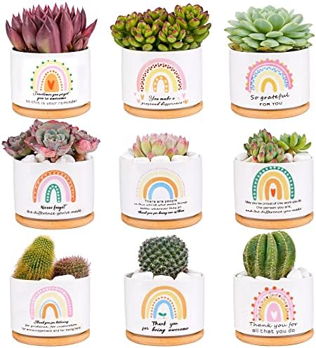 SAIWEILAI Ceramic Succulent Planter Pots Set of 9 with Bamboo Trays, Round Painted Plant Pots for Indoor Desktop Decoration, White by SAIWEILAI+ONLINE