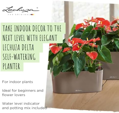 Lechuza Delta 20 Cream White High Gloss, Self-Watering Planter Indoor, H7.1 L15.7 W5.9 in - Image 7