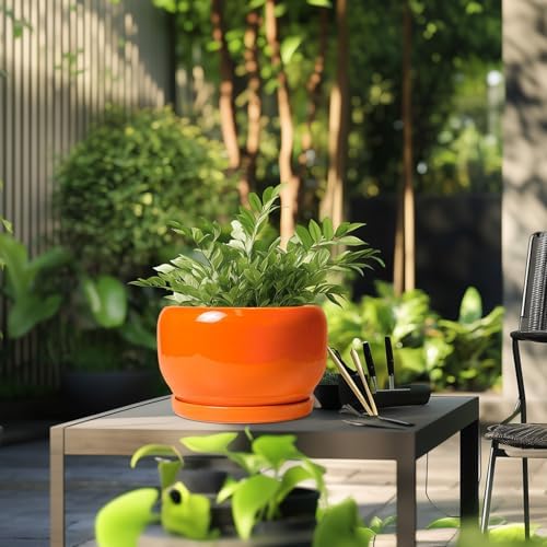 SQOWL Ceramic Planter - 10 Inch Plant Pot with Drainage Hole and Saucer, Round Modern Planter for Indoor Outdoor Plants, Decorative Large Flower Pot, House Decor, Gifts for Women Men, Orange - Image 5