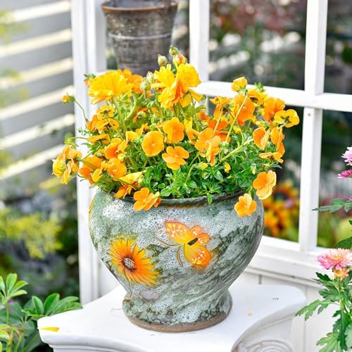 Sungmor 9 Inch Hand Painted Ceramic Succulent Plant Pots - Green & Daisy - Image 6