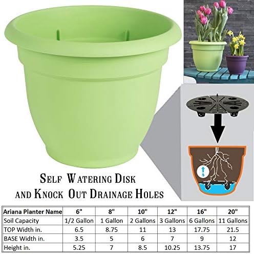 Bloem AP1025 10" Honey Ariana Planter - Image 3