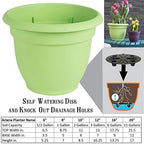 Bloem AP1025 10" Honey Ariana Planter - Image 3