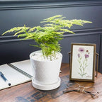 BUYMAX 5in Ceramic Flower Pots Set of 4 Plant Pot with Drainage Hole - Image 4