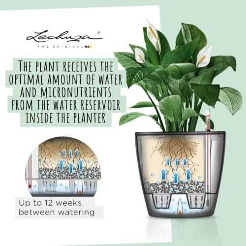 Lechuza 16049 Classico LS 28 Self-Watering Planter, Black High Gloss - Image 6