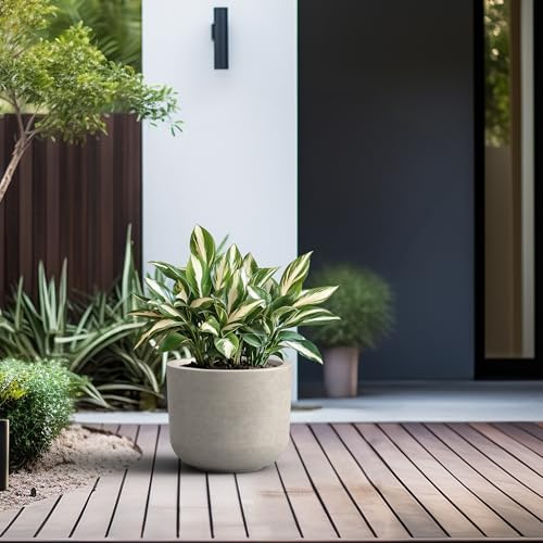 Kante Small Round Capsule Weathered Concrete Planter 9" Dia, Outdoor - Image 4