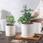 Ceramic Plant Pots Indoor-Outdoor: 8 Inch Embossed Planters with Drainage Hole & Saucer - Modern Decorative Flower Pots for Home Garden Patio Office Decor - Image 4