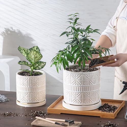 Ceramic Plant Pots Indoor-Outdoor: 8 Inch Embossed Planters with Drainage Hole & Saucer - Modern Decorative Flower Pots for Home Garden Patio Office Decor - Image 4