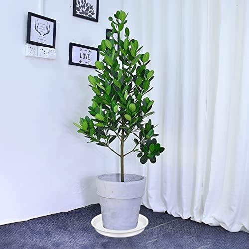 4 Pack of 16 inch Plant Saucer (13.5" Base), Heavy Duty Plastic Plant Tray for Pots, Bird Bath Bowls, Plant Drip Saucers for Planter 14"/15"/16" (White) - Image 4