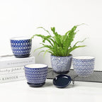 Selamica Ceramic Plant Pots, 4.6 Inch Flower Pots for Indoor Plants, Succulent Pots with Drainage Hole & Saucer, Succulent Planters for Succulent Cactus, Home Decor, Set of 4, Vintage Blue - Image 7