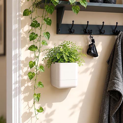 Phoenix Vine 4.5 Inch Wall Mounted Self-Watering Planter Pot for Indoor Houseplants and Herbs | Hanging Planter for Window Sills, Bathroom Walls, Home & Office Décor, Oatmeal, Set of 4, 01-B-G-4 - Image 2