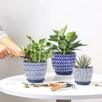 Selamica Ceramic Plant Pots, 4.6+5.6+6.5 Inch Planters with Drainage Holes & Saucer, Flower Pots for Indoor Plants, Home Decor, Set of 3, Vintage Blue - Image 2