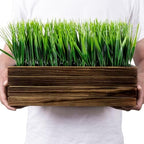 MyGift 14 Inch Artificial Green Grass Plant in Rustic Burnt Solid Wood Rectangular Crate Style Planter Box, Indoor Decor Faux Greenery in Decorative Wooden Container - Image 6