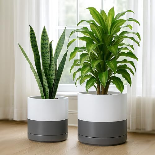 D'vine Dev 2-Pack Ceramic Pots with Saucers, 8/10 in, White/Grey, 94-G-L-6 - Image 2