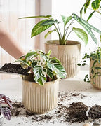 LE TAUCI Ceramic Pots for Plants, 8.3/7/6 Inch Indoor Planters with Drainage Holes & Mesh, Modern Glossy Glaze Cylinder Fluted Plant Pot for Snake Plant, Set of 3, Sand Beige - Image 2