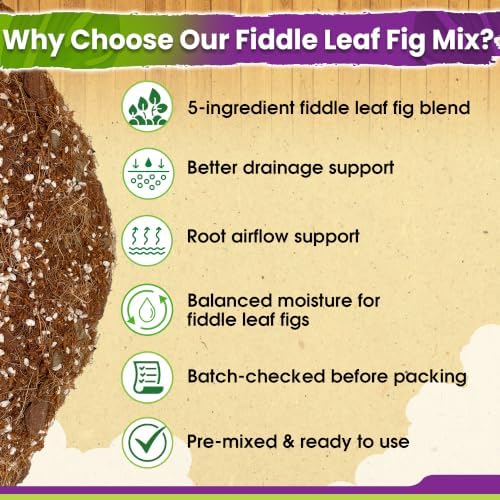 DUSPRO Fiddle Leaf Fig Soil, 5-in-1 Pre-Mixed & Ready to Use, 10 Quarts - Image 4