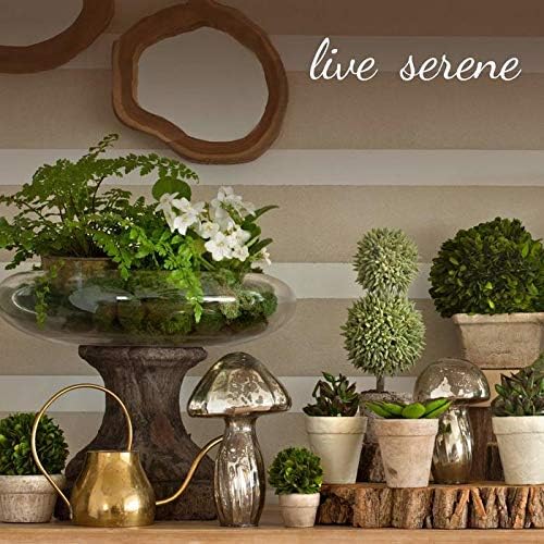Serene Spaces Living Vintage White Stone-Textured Square Planter Box, Weather-Resistant Poly Resin Plant Box for Indoor/Outdoor Gardening, Window Sills, Balconies, & Decks, 15.25" Square & 15.5" Tall - Image 7