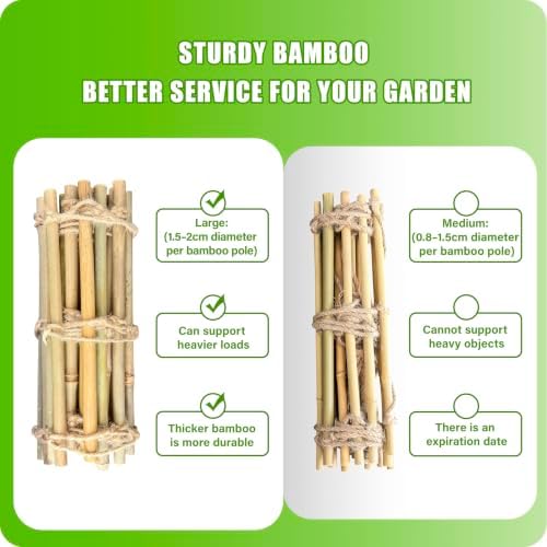 Natural Bamboo Ladder Plant Trellis 79 in L x 12 in D Ideal for Climbing Plants, Providing Reliable Support Suitable for Outdoor Walls, Gardens, patios, and Similar (2, S) - Image 2