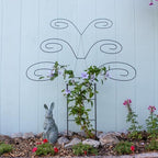 Butterfly Trellis - Image 3