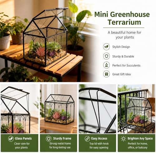 Ferrisland Glass Geometric Plant Terrarium, Clear Glass Succulent - Image 2
