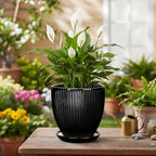 6 Inch Ceramic Planter, Indoor Plant Pots with Saucer, Black - Image 4