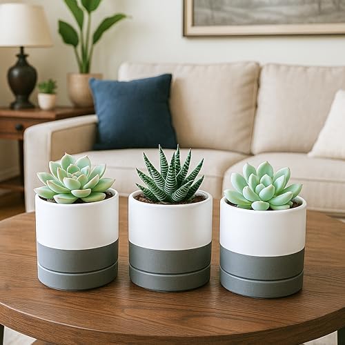 D'vine Dev 4-Pack Ceramic Pots with Saucers, White/Grey, 3.5 in, 94-X-A-6 - Image 5