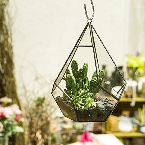 NCYP Hanging Glass Geometric Terrarium for Succulent - 6.8" x 6.8" x 8.6" Indoor Teardrop Shape Plants Planter, Tabletop Decorative Centerpiece, Black Container, Opening, Handmade (No Plants) - Image 2