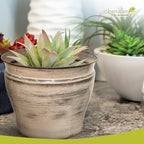Headwind Glazed Ironstone Vanhorne Collection – 14" Papyrus Beige Decorative Plant Pot – Lightweight & Triple Coated w/Drainage Flower Pot for Indoor Plants & Outdoor Planter Use by Robert Allen - Image 3