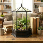 H Potter Six-Sided Glass Terrarium Wardian Case Succulent Planter - Image 2
