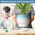 8 Inch Ceramic Plant Pot, Blue + White - Image 3