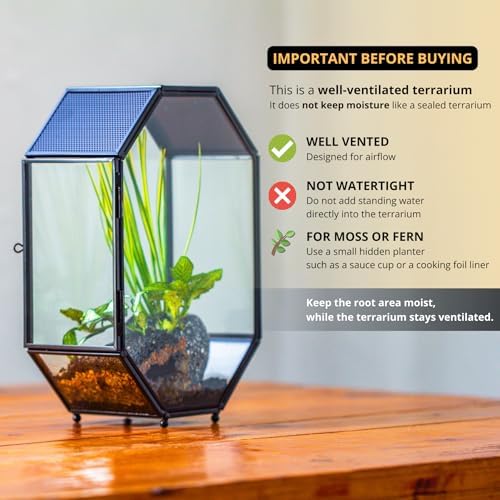 NCYP Glass Enclosure Terrarium with Mesh and Door for Spiders, Small Mantis, Jumping Spider - Octagon Shape Vented Glass Terrarium 6.2 x 3.1 x 8.7 inches, Black (Plants Not Include) - Image 3