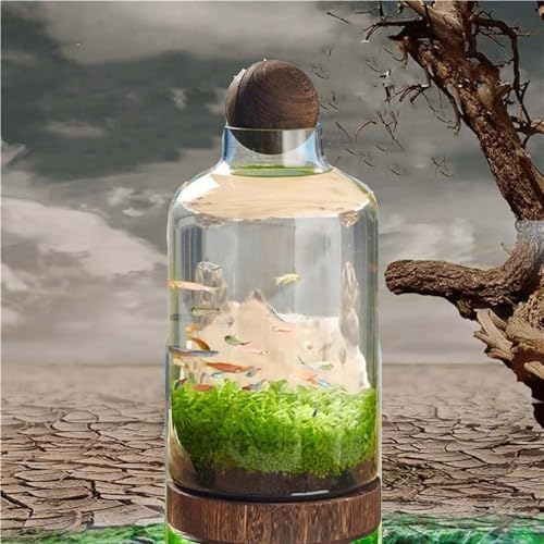 Ecological Fish Bottle Magical Glass Aquarium Micro Ecosphere Transparent Fish Tank Fish Bowel Ecological Teaching for Kids Students, D - Image 5