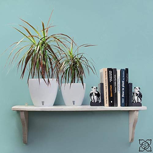 Santino 7.9 Inch Deco Self Watering Pots for Indoor Plants in Anthracite (Set of 3) - Decorative Flower Pot with Water Level Indicator and Drainage Cartridge for All House Plants, Flowers and Herbs - Image 5