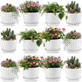Maxdot 12 Set 4 Inch Ceramic Pots for Plants White Flower Pots with Drainage Holes Saucer Flower Planter for Indoor Outdoor Gardening Home Desktop Office Windowsill Decor by Maxdot