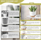 Self Watering Pots for Indoor Plants, 3 Pack 12/10/8 Inch, Large Planter with Water Reservoir, Modern Decorative Flower Pots for Home & Office White - Image 6