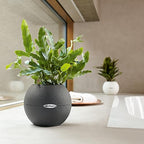 Lechuza Puro Color 20 Slate, Self-Watering Small Indoor Planter, D7.9 H6.3 in - Image 6