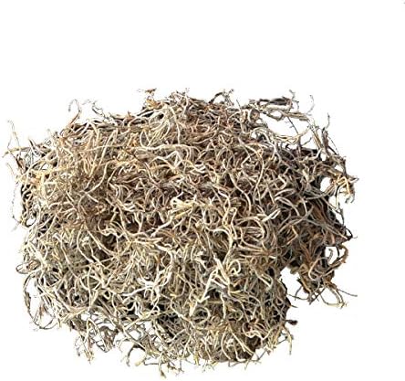 Mosser Lee Spanish Moss – Natural Decorative Moss for Houseplants, Soil Cover, Crafts, Terrariums & Floral Arrangements - 2.4 Cubic Foot - Image 2