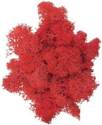100g Artificial Moss for Crafts, Faux Decorative Plant for DIY Walls Wedding Party Table Centerpieces Home, Big Red by LKXHarleya
