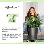 Lechuza Classico LS 21 Shiny Taupe High Gloss, Self-Watering Round Planter, D8.3 H7.9 in - Image 6