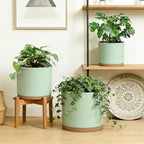 Large Plant Pots Set of 3 – 8", 9", 10" Indoor Flower Pots with Drainage Holes and Saucers, Big Planters for Monstera, Fiddle Leaf Fig, Snake Plant – 5 Colors - Image 2